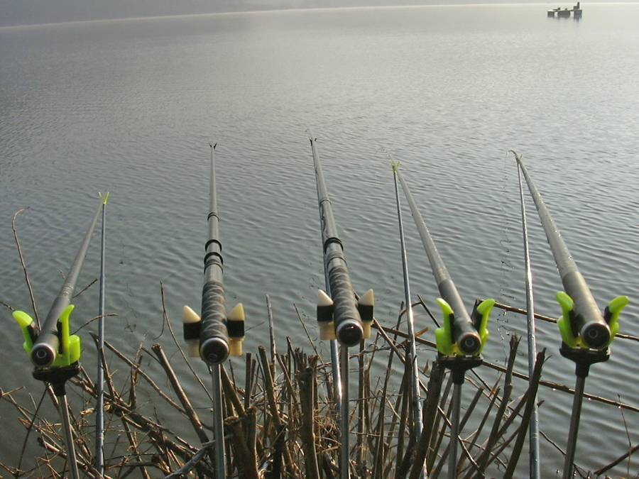 The PERFECT Pole Fishing Set-up